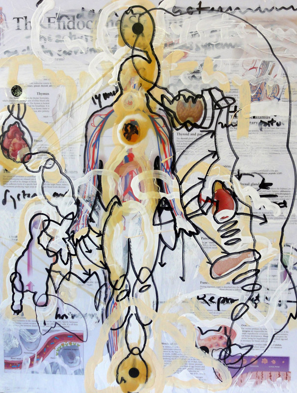 Endocrine System, 2015